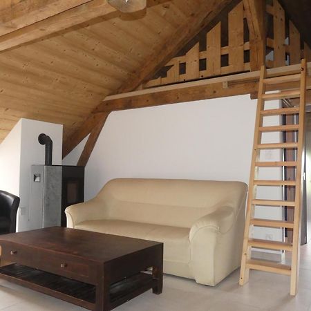 Le Massif - Appartement Au Sommet Avec Vue Panoramique La Bresse Kültér fotó